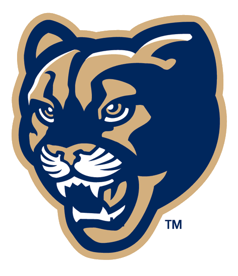 Brigham Young Cougars 1999-2004 Alternate Logo 03 iron on paper